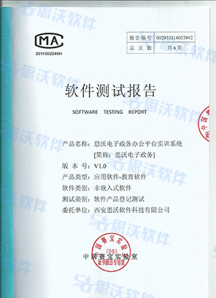 檢測報告-電子政務